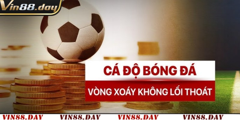 Giải pháp và cách khắc phục thua lỗ trong cá độ