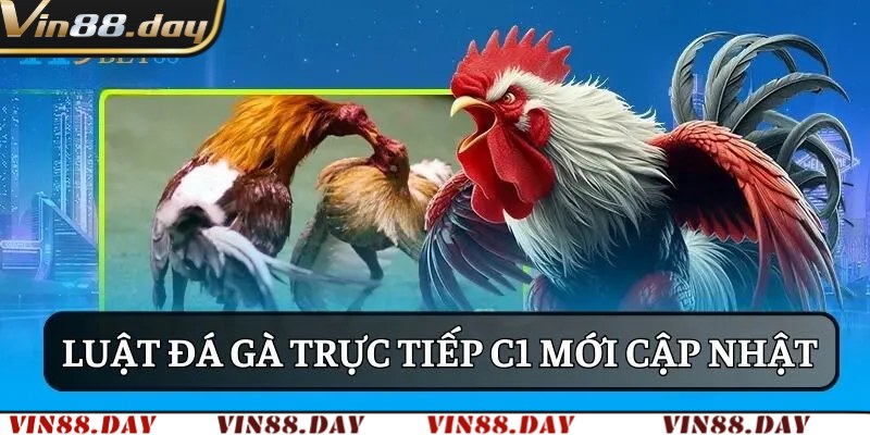Luật chơi đá gà trực tiếp C1 chi tiết