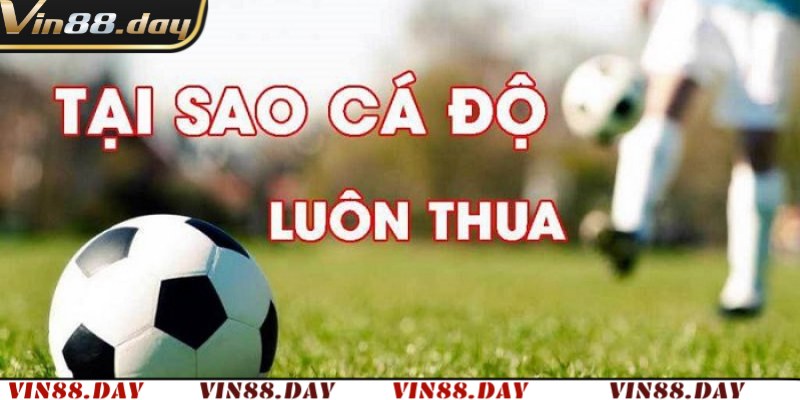 Phân tích lý do tại sao cá độ bóng đá luôn thua