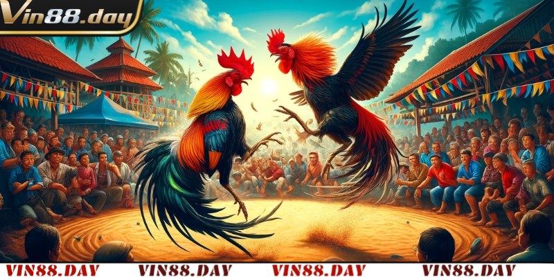 Tổng hợp các loại hình đá gà mạng đặc sắc tại Vin88